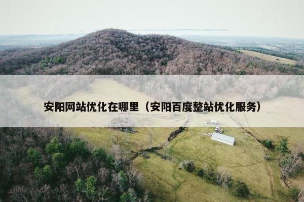 安阳网站优化在哪里（安阳百度整站优化服务）