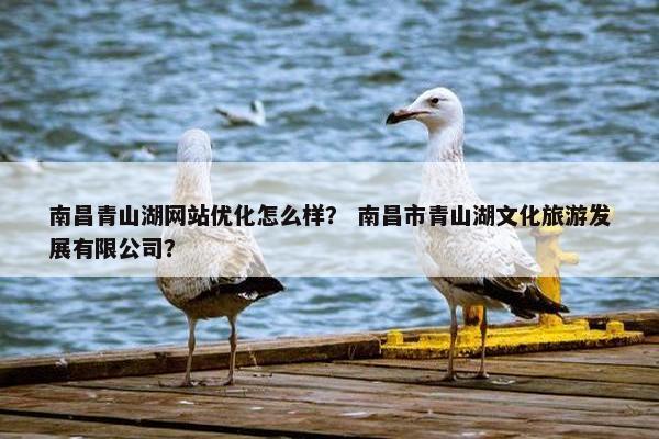 南昌青山湖网站优化怎么样？ 南昌市青山湖文化旅游发展有限公司？