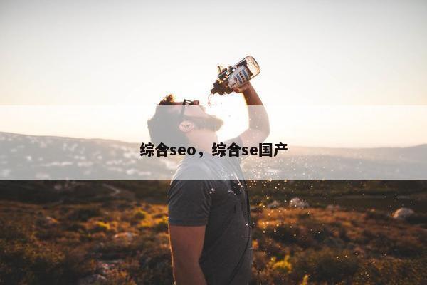 综合seo，综合se国产
