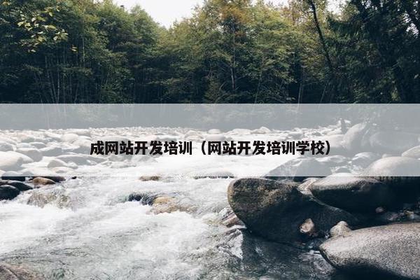 成网站开发培训（网站开发培训学校）