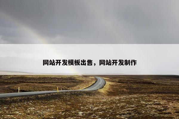 网站开发模板出售，网站开发制作