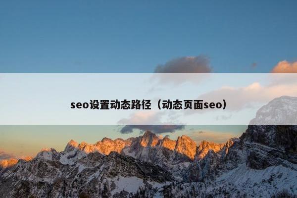 seo设置动态路径（动态页面seo）