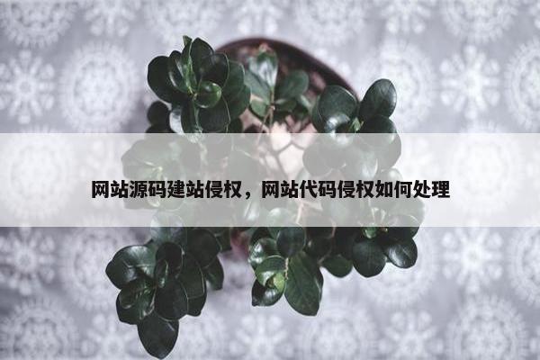 网站源码建站侵权，网站代码侵权如何处理
