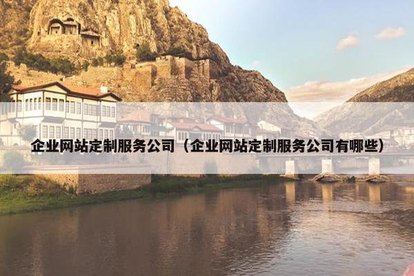 企业网站定制服务公司（企业网站定制服务公司有哪些）