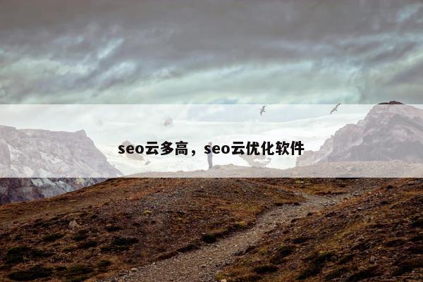 seo云多高，seo云优化软件