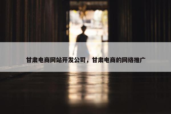 甘肃电商网站开发公司，甘肃电商的网络推广