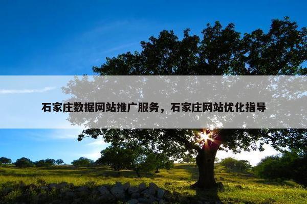 石家庄数据网站推广服务，石家庄网站优化指导
