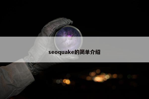 seoquake的简单介绍