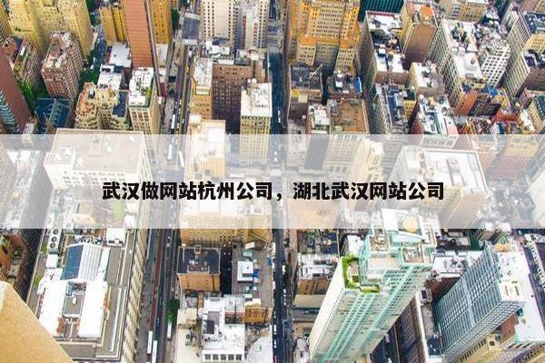 武汉做网站杭州公司，湖北武汉网站公司
