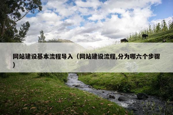网站建设基本流程导入（网站建设流程,分为哪六个步骤）