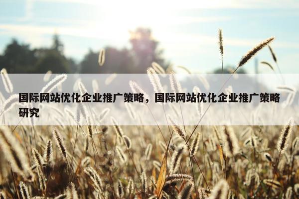 国际网站优化企业推广策略，国际网站优化企业推广策略研究
