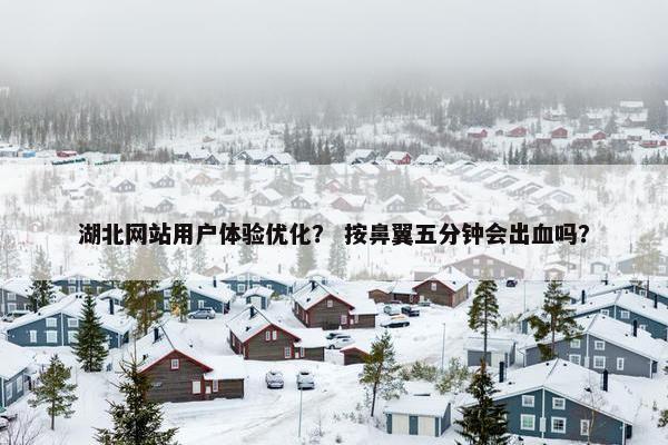 湖北网站用户体验优化？ 按鼻翼五分钟会出血吗？