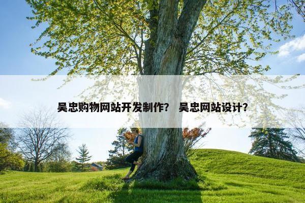 吴忠购物网站开发制作？ 吴忠网站设计？