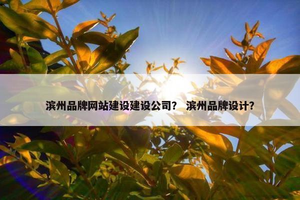 滨州品牌网站建设建设公司？ 滨州品牌设计？