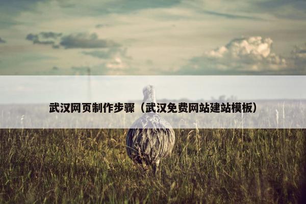 武汉网页制作步骤（武汉免费网站建站模板）