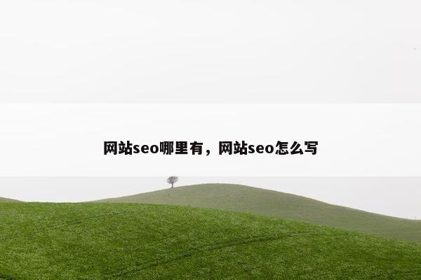 网站seo哪里有，网站seo怎么写