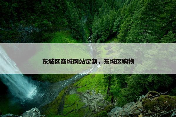 东城区商城网站定制，东城区购物