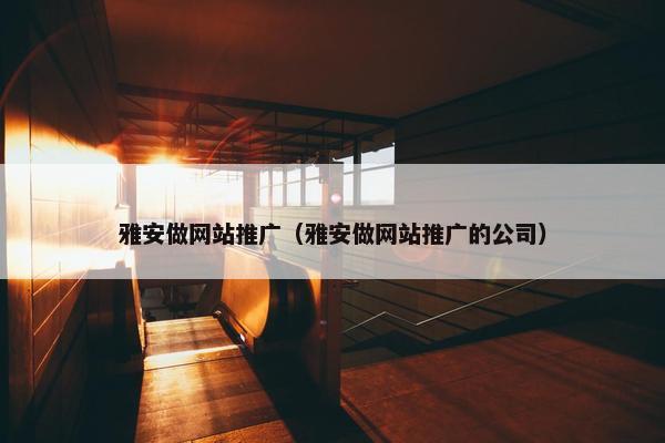 雅安做网站推广（雅安做网站推广的公司）