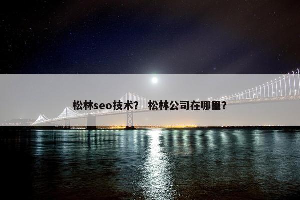 松林seo技术？ 松林公司在哪里？