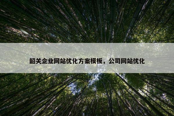 韶关企业网站优化方案模板，公司网站优化