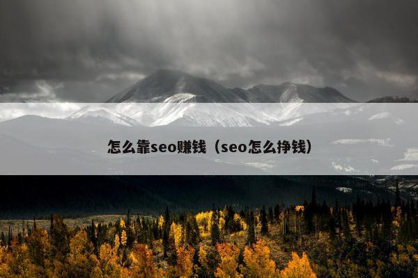 怎么靠seo赚钱（seo怎么挣钱）