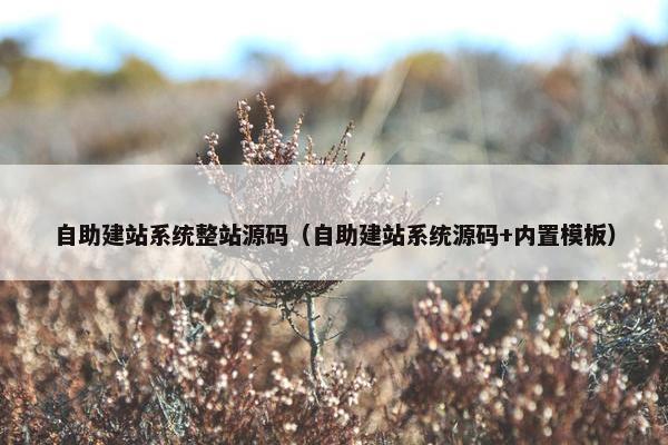 自助建站系统整站源码（自助建站系统源码+内置模板）