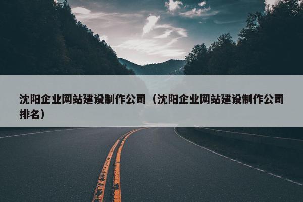 沈阳企业网站建设制作公司（沈阳企业网站建设制作公司排名）