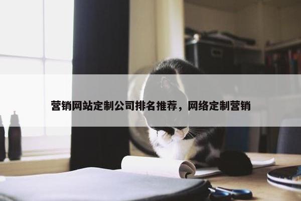 营销网站定制公司排名推荐，网络定制营销