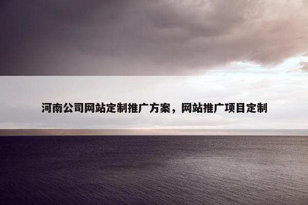 河南公司网站定制推广方案，网站推广项目定制