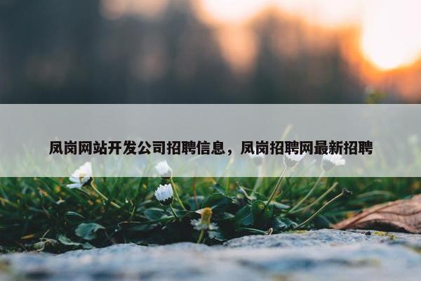 凤岗网站开发公司招聘信息，凤岗招聘网最新招聘