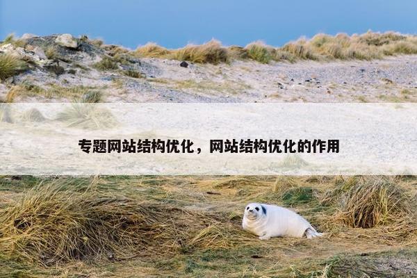 专题网站结构优化，网站结构优化的作用