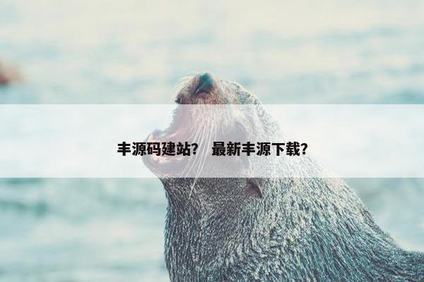 丰源码建站？ 最新丰源下载？