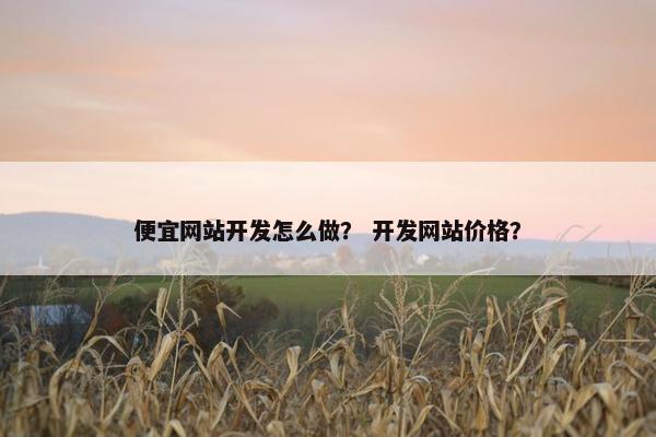 便宜网站开发怎么做？ 开发网站价格？