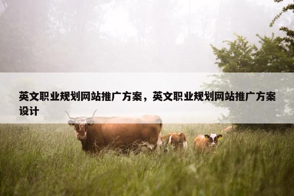 英文职业规划网站推广方案，英文职业规划网站推广方案设计