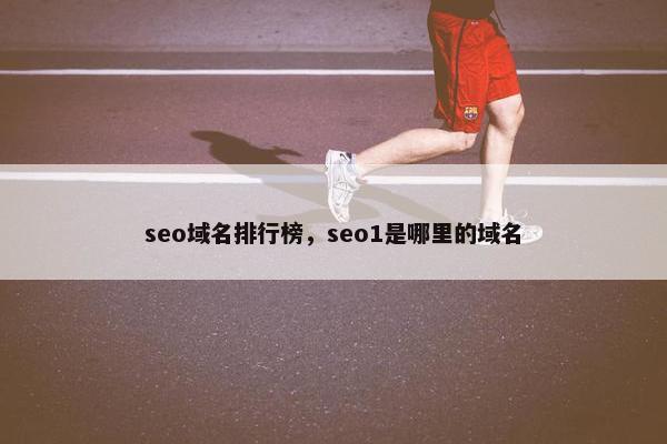 seo域名排行榜，seo1是哪里的域名