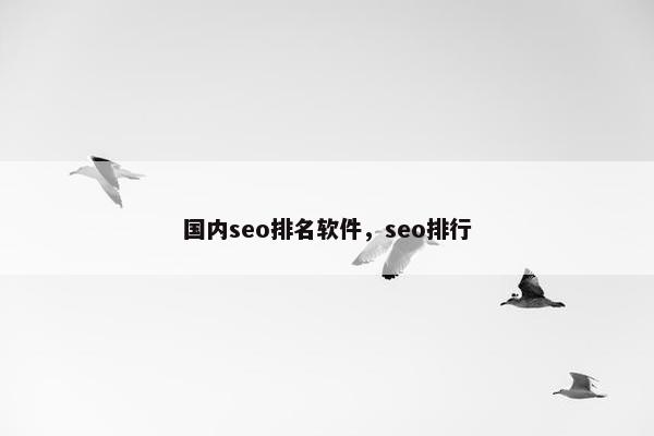 国内seo排名软件，seo排行