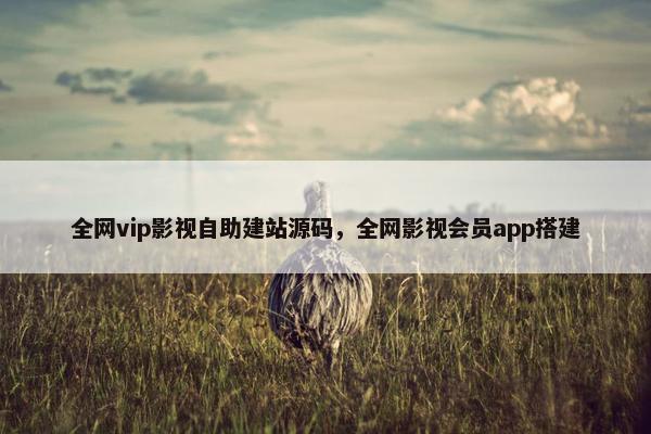 全网vip影视自助建站源码，全网影视会员app搭建