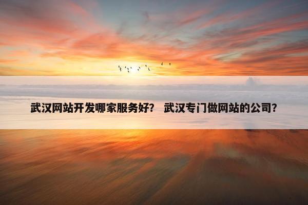 武汉网站开发哪家服务好？ 武汉专门做网站的公司？