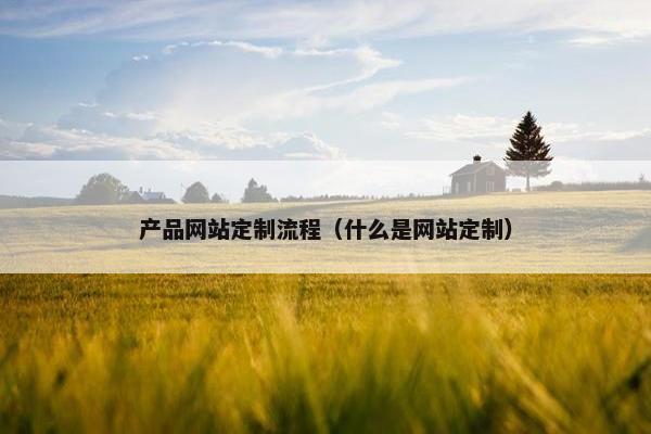 产品网站定制流程（什么是网站定制）