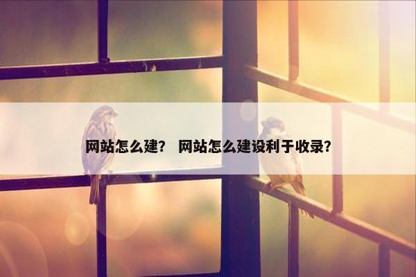 网站怎么建？ 网站怎么建设利于收录？