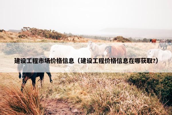 建设工程市场价格信息（建设工程价格信息在哪获取?）