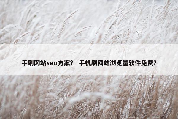 手刷网站seo方案？ 手机刷网站浏览量软件免费？