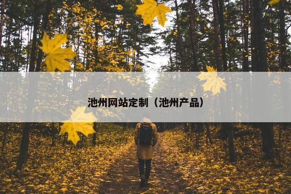 池州网站定制（池州产品）
