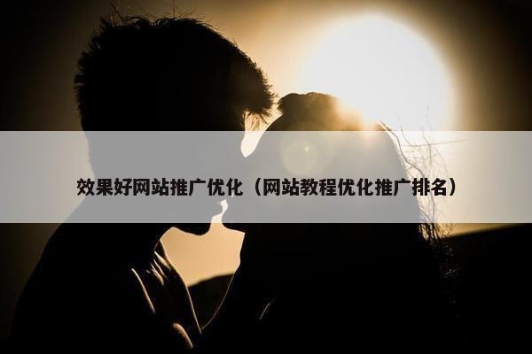 效果好网站推广优化（网站教程优化推广排名）