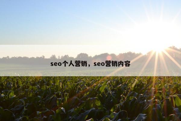 seo个人营销，seo营销内容