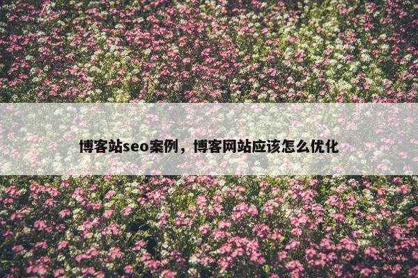 博客站seo案例，博客网站应该怎么优化
