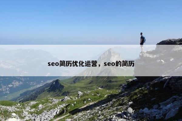seo简历优化运营，seo的简历