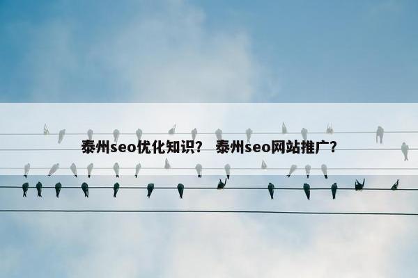 泰州seo优化知识？ 泰州seo网站推广？