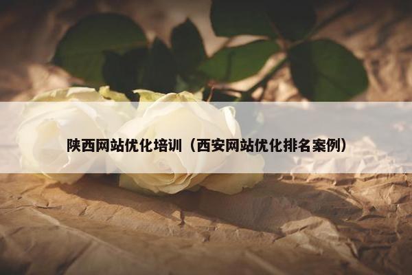 陕西网站优化培训（西安网站优化排名案例）
