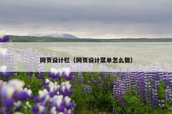网页设计栏（网页设计菜单怎么做）